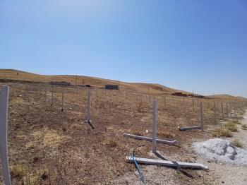 GÜVENAY - ÇORUM SARMAŞA KÖYÜ YANINDA SATILIK BAHÇE 