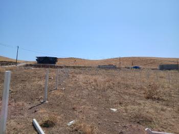 GÜVENAY - ÇORUM SARMAŞA KÖYÜ YANINDA SATILIK BAHÇE 