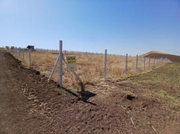 125,000 TL PEŞİN, AYDA 10,000 TL TAKSİT İLE BAHÇE SAHİBİ OLUN !