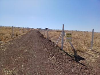 125,000 TL PEŞİN, AYDA 10,000 TL TAKSİT İLE BAHÇE SAHİBİ OLUN !