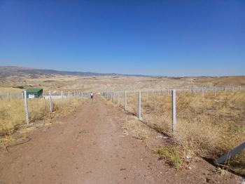 125,000 TL PEŞİN, AYDA 10,000 TL TAKSİT İLE BAHÇE SAHİBİ OLUN !