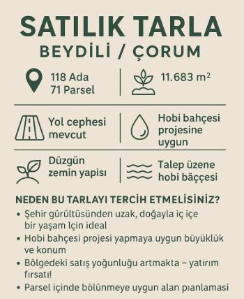 GÜVENAY - ÇORUM BEYDİLİ KÖYÜ CİVARI SATILIK TARLA