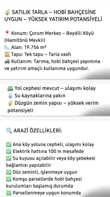 SATILIK TARLA - HOBİ BAHÇESİNE UYGUN - YÜKSEK YATIRIM POTANSİYELİ BEYDİLİ KÖYÜ HAMİTÖNÜ MEVKİİ