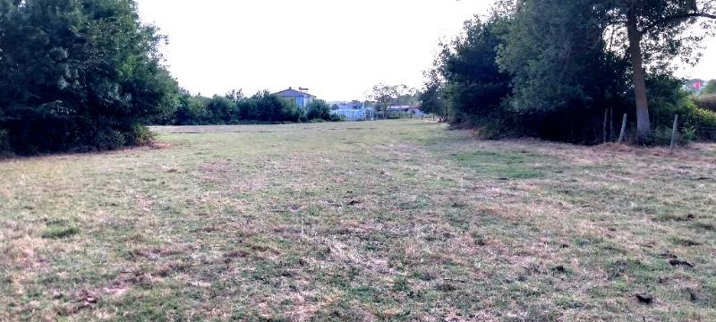 Kocaeli Kandıra Çamkonak Satılık Mustakil Tarla