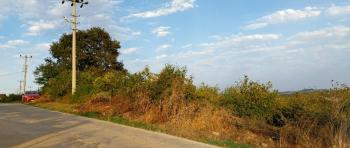 Kocaeli Kandıra Çamkonak Köyünde  Anayol Kenarı Satılık Arsa