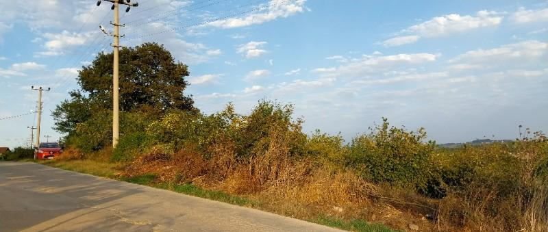 Kocaeli Kandıra Çamkonak Köyünde  Anayol Kenarı Satılık Arsa