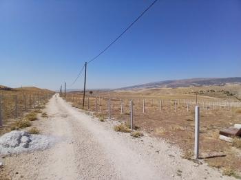 Güvenay - Çorum Eski Osmancık Yolu Sarmaşa Satılık Bahçe