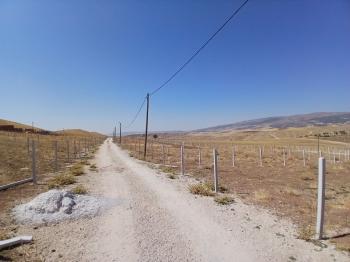 Güvenay - Çorum Eski Osmancık Yolu Sarmaşa Satılık Bahçe