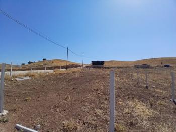 Güvenay - Çorum Eski Osmancık Yolu Sarmaşa Satılık Bahçe