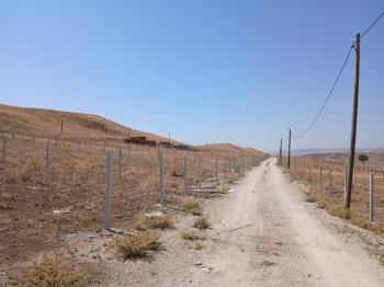 Güvenay - Çorum Eski Osmancık Yolu Sarmaşa Satılık Bahçe