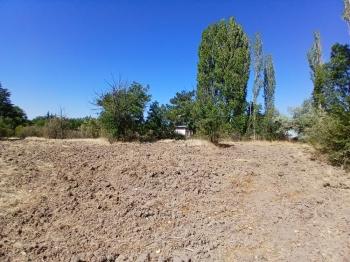 GÜVENAY - ÇORUM BUHARAEVLER SARMAHAL KARŞISI SATILIK BAĞ