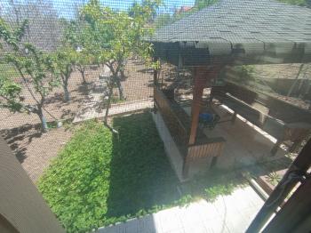 Güvenay - Çorum Üçtutlar Mahallesi Ayarık Bağları 4+1 Satılık Villa