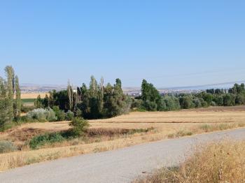 GÜVENAY - ÇORUM  BAYAT MAHALLESİNDE  İÇERİSİNDE EVİ BULUNAN SATILIK BAHÇE