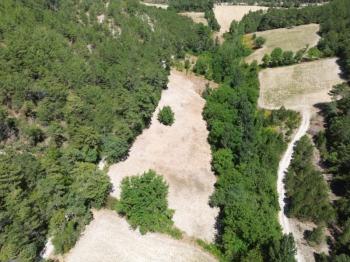 Bolu Göynük Gökçesaray Köyünde 6.705m2 Satılık Arazi