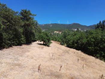 Bolu Göynük Gökçesaray Köyünde 6.705m2 Satılık Arazi