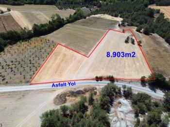 Göynük Mustanlar Köyün de Asfalt Yola Cepheli Arazi Satılık.