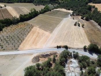 Göynük Mustanlar Köyün de Asfalt Yola Cepheli Arazi Satılık.