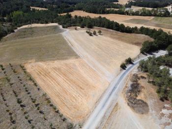 Göynük Mustanlar Köyün de Asfalt Yola Cepheli Arazi Satılık.