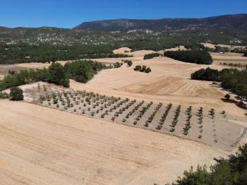 Göynük Kılavuzlar Köyün de Fındık Bahçesi Satılık