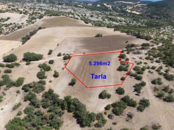 Göynük Köybaşı Köyünde 5.296m2 arazi satılık