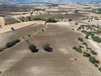 Göynük Köybaşı Köyünde 24.666m2 Arazi Satılık