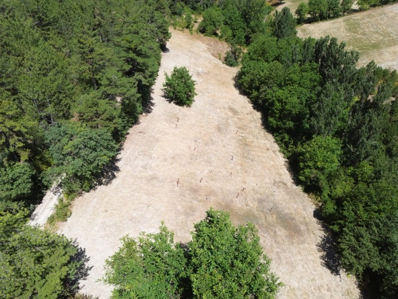 Bolu Göynük Gökçesaray Köyünde 6.705m2 Satılık Arazi