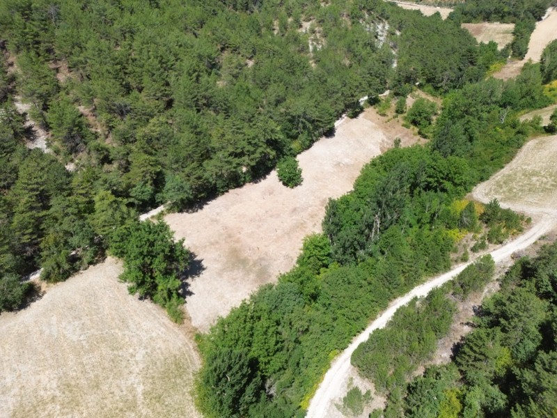 Bolu Göynük Gökçesaray Köyünde 6.705m2 Satılık Arazi