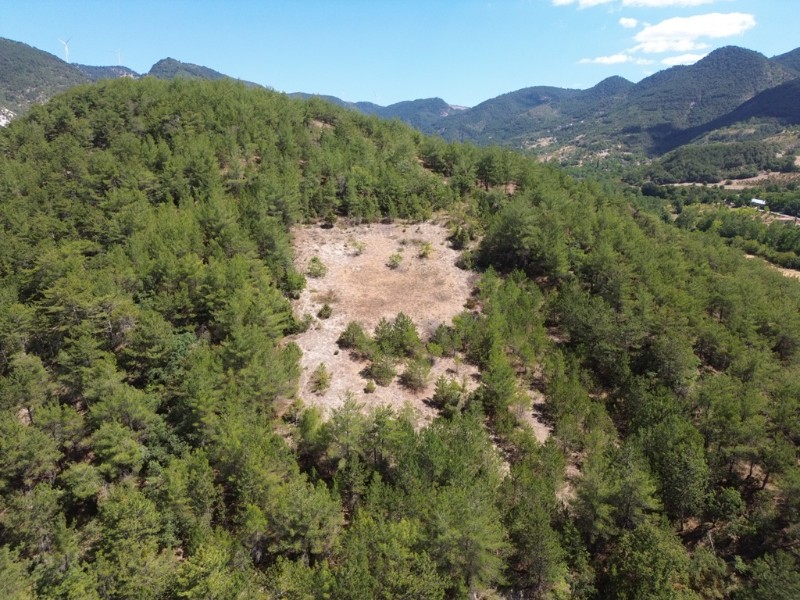 Bolu Göynük Gökçesaray Köyünde 3.585m2 Satılık Arazi