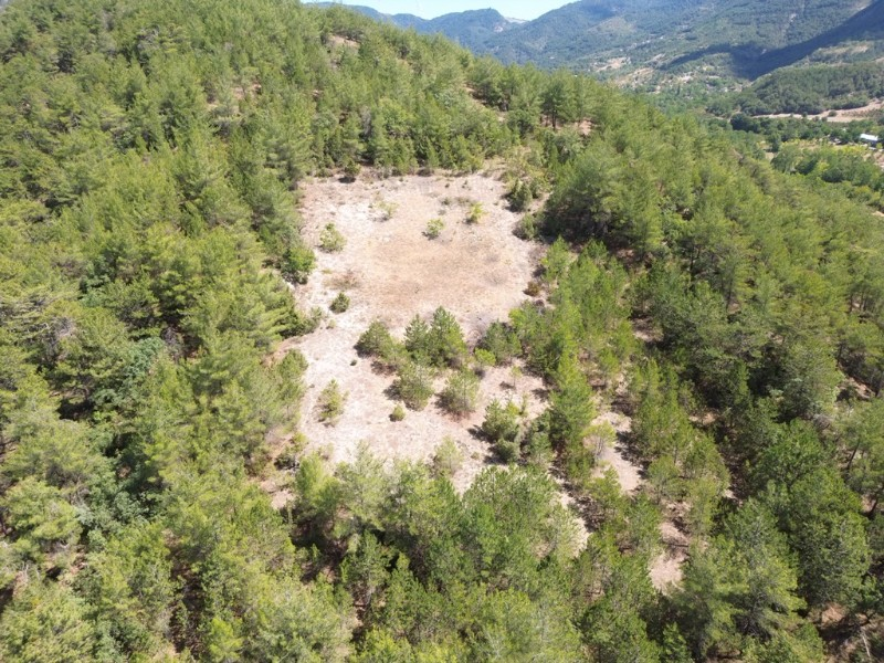 Bolu Göynük Gökçesaray Köyünde 3.585m2 Satılık Arazi