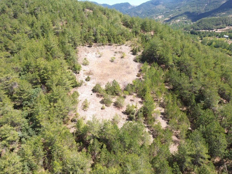 Bolu Göynük Gökçesaray Köyünde 3.585m2 Satılık Arazi