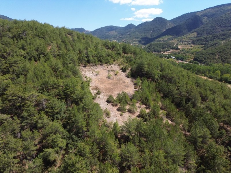 Bolu Göynük Gökçesaray Köyünde 3.585m2 Satılık Arazi