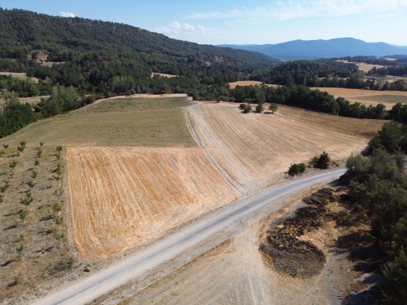 Göynük Mustanlar Köyün de Asfalt Yola Cepheli Arazi Satılık.