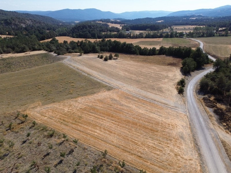 Göynük Mustanlar Köyün de Asfalt Yola Cepheli Arazi Satılık.