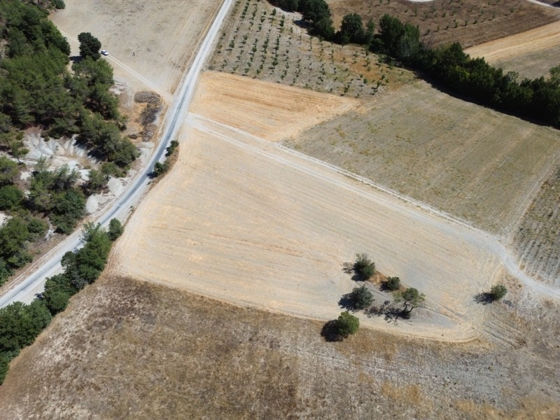 Göynük Mustanlar Köyün de Asfalt Yola Cepheli Arazi Satılık.