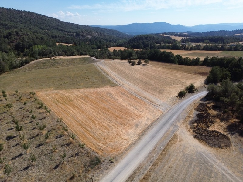 Göynük Mustanlar Köyün de Asfalt Yola Cepheli Arazi Satılık.