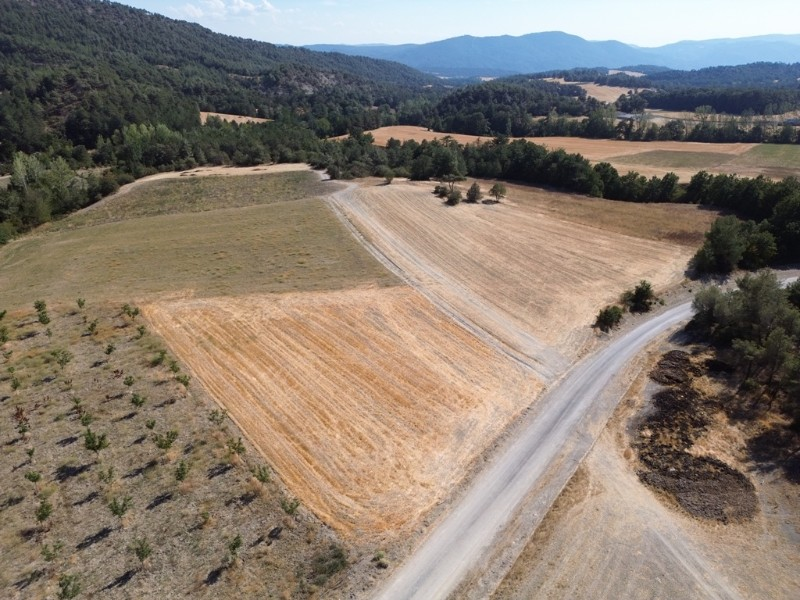 Göynük Mustanlar Köyün de Asfalt Yola Cepheli Arazi Satılık.