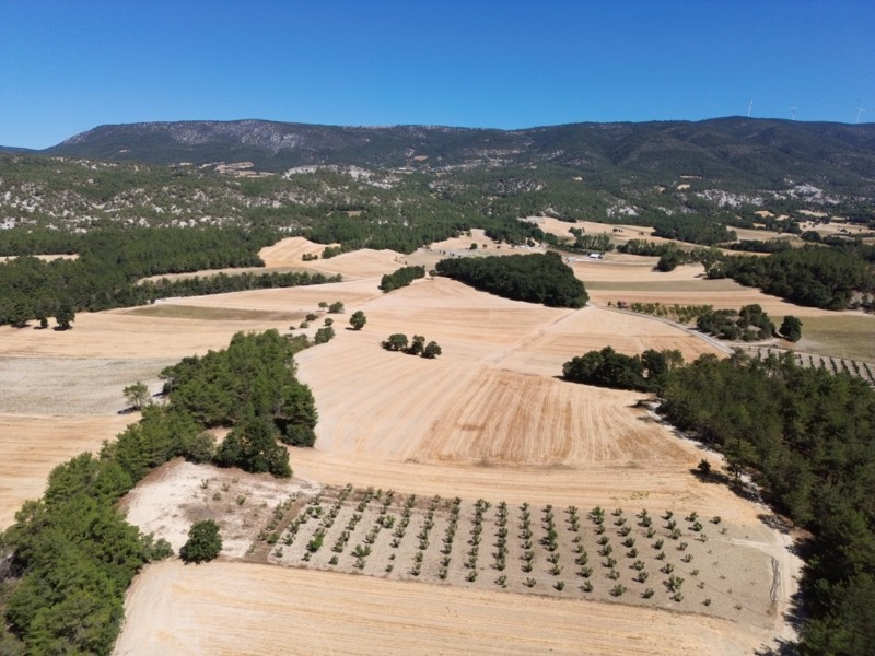 Göynük Kılavuzlar Köyün de Fındık Bahçesi Satılık