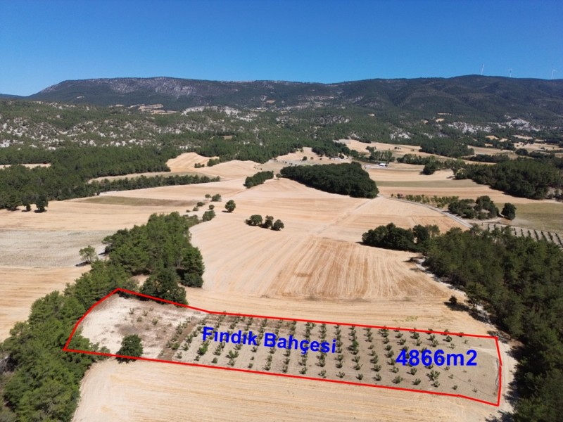 Göynük Kılavuzlar Köyün de Fındık Bahçesi Satılık