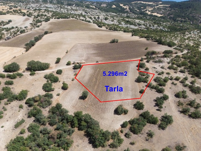 Göynük Köybaşı Köyünde 5.296m2 arazi satılık