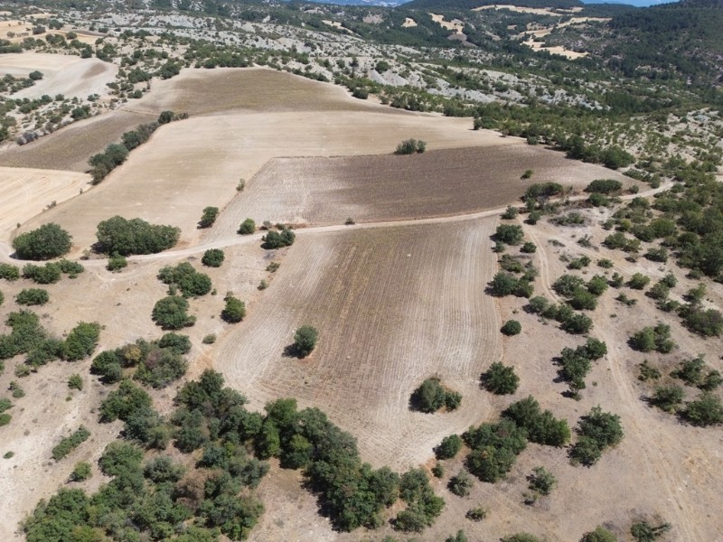 Göynük Köybaşı Köyünde 5.296m2 arazi satılık