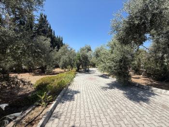 KKTC Girne Edremit Bölgesinde 3.5 Dönüm Arsa İçerisinde Yardımcı Evli Satılık Villa