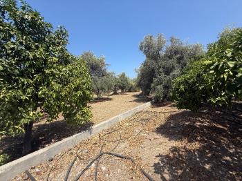 KKTC Girne Edremit Bölgesinde 3.5 Dönüm Arsa İçerisinde Yardımcı Evli Satılık Villa