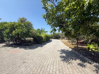 KKTC Girne Edremit Bölgesinde 3.5 Dönüm Arsa İçerisinde Yardımcı Evli Satılık Villa