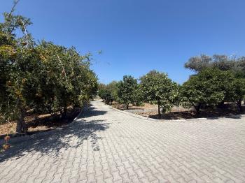 KKTC Girne Edremit Bölgesinde 3.5 Dönüm Arsa İçerisinde Yardımcı Evli Satılık Villa