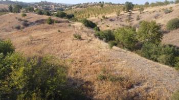 YILMAZ EMLAK'TAN TAŞLICA (ŞAMÜK) KÖYÜNDE SATILIK 54.378 m² KELEPİR TARLA