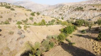 YILMAZ EMLAK'TAN TAŞLICA (ŞAMÜK) KÖYÜNDE SATILIK 54.378 m² KELEPİR TARLA