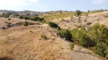 YILMAZ EMLAK'TAN TAŞLICA (ŞAMÜK) KÖYÜNDE SATILIK 54.378 m² KELEPİR TARLA