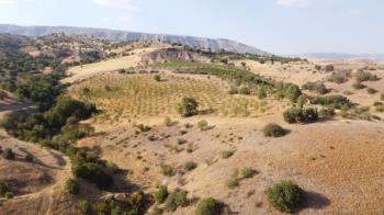 YILMAZ EMLAK'TAN TAŞLICA (ŞAMÜK) KÖYÜNDE SATILIK 54.378 m² KELEPİR TARLA