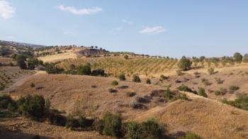 YILMAZ EMLAK'TAN TAŞLICA (ŞAMÜK) KÖYÜNDE SATILIK 54.378 m² KELEPİR TARLA