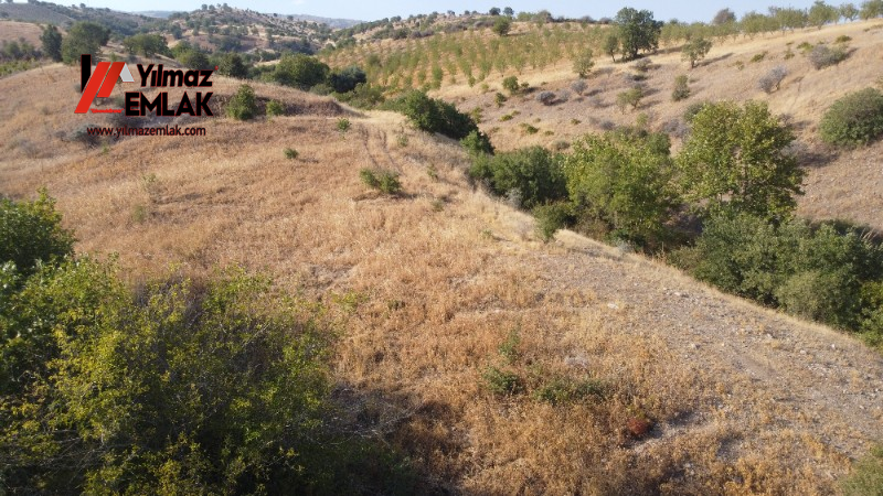 YILMAZ EMLAK'TAN TAŞLICA (ŞAMÜK) KÖYÜNDE SATILIK 54.378 m² KELEPİR TARLA